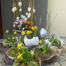 image21 sw