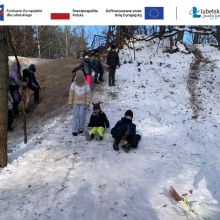 projekt bez nazwy   2026 02t113427.586