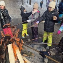 projekt bez nazwy   2026 02t113545.251