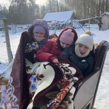 projekt bez nazwy   2026 02t113720.014