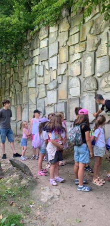 whatsapp image 2025 07 28 at0.57.39 am  