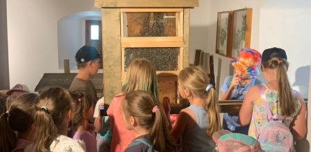 whatsapp image 2025 07 28 at0.57.28 am  