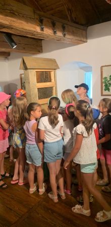 whatsapp image 2025 07 28 at.57.28 am