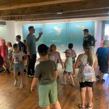 whatsapp image 2025 07 28 at0.57.29 am  