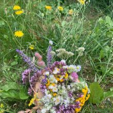 whatsapp image 2025 07 28 at.57.31 am